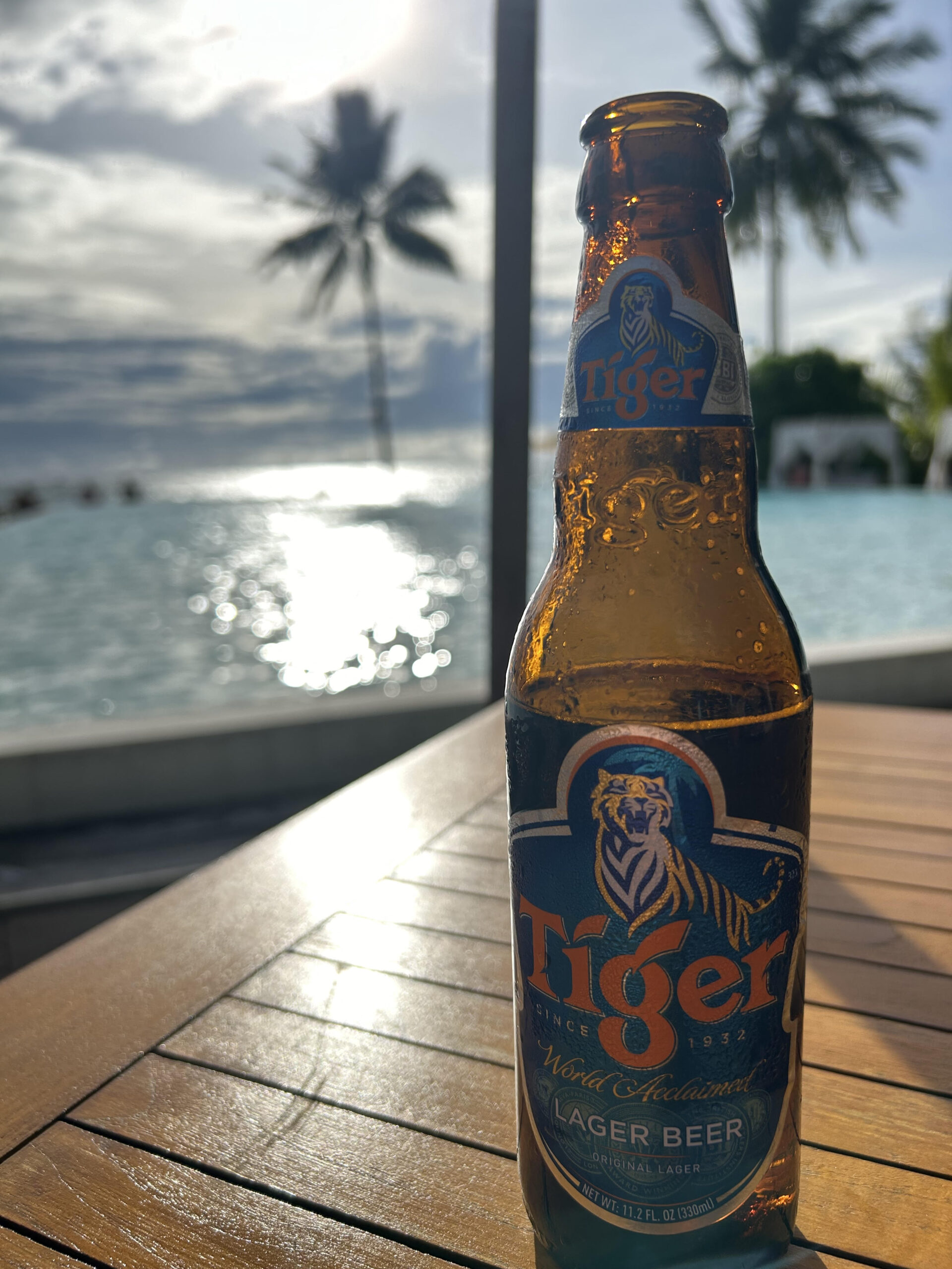 ブログ始めました